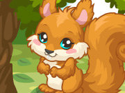 Click to Play Squirrel Care