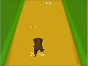 Click to Play Dog Dash