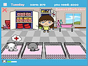 Click to Play Veterinarian