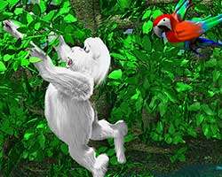 Click to Play Yeti Sports 8 - Jungle Swing