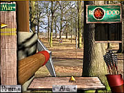 Click to Play Robin Hood Adventures