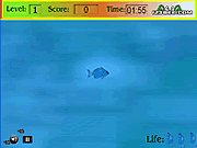 Click to Play Play Fish