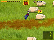 Click to Play Pig Trouble