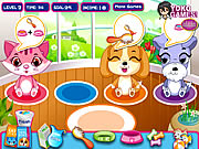 Click to Play Pet Shop Caring