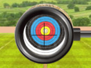 Click to Play Archery World Tour