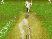 Click to Play Final Test Cricket 