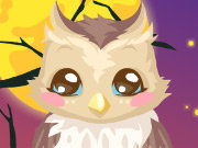 Click to Play Owl Care