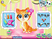 Click to Play Pets Beauty Salon